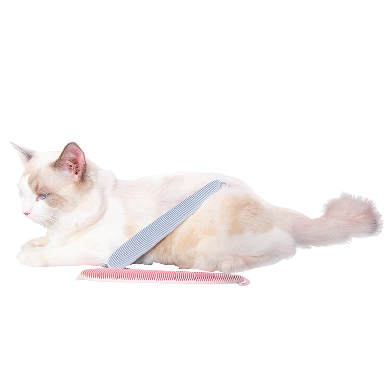 Huisdier Kat sussen de comfort speelgoed tong kam Plastic gastheer en Kat speelgoed
