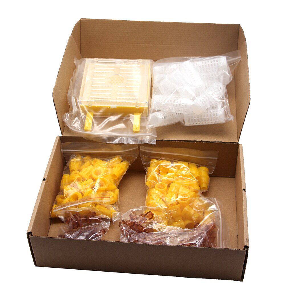 1SET Apiculture Beekeeping Jenter Queen Rearing In... – Vicedeal