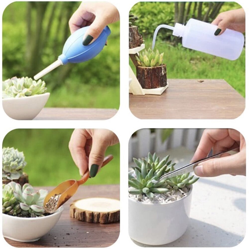 Succulent Plants Tools Mini Garden Hand Tools Set Transplanting Tools Miniature Planting Gardening Tool Set For Indoor Miniature
