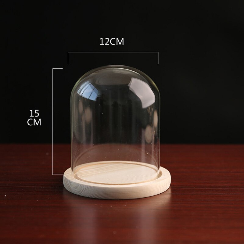 Klart glass display cloche bjelle ornamenter blomsterkrukke glassflaske med trebunn støvdeksel utstillingsboks udødelig blomsterkasse: 10