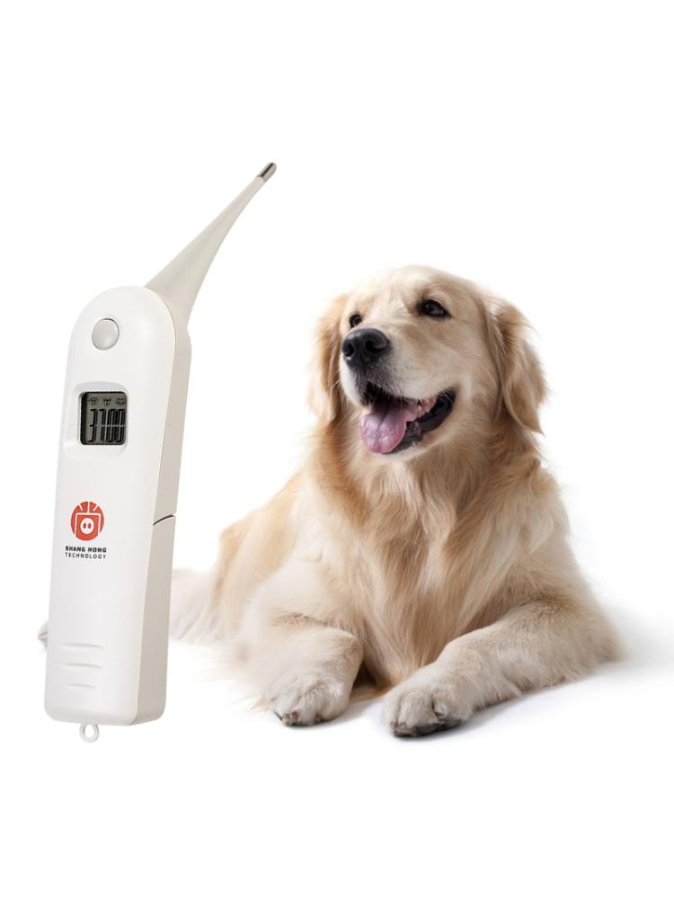 Ebene Elektronische Thermometer Haustier Digital Thermometer Schnelle Rektale Thermometer für Hunde Schwein Pferd Körper Temperatur Messung