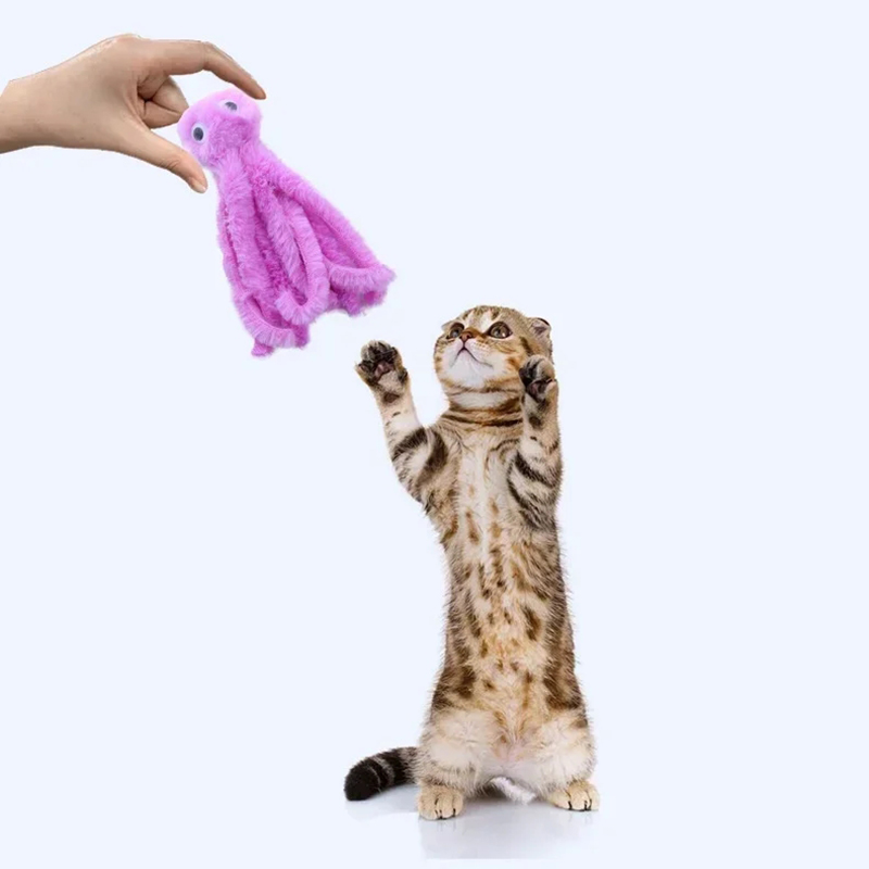 Kattenspeelgoed Schattig Octopus Knuffel Bijtbestendige tanden Interactief spelen Dierbenodigdheden Kat Hondenspeelgoed Octopus