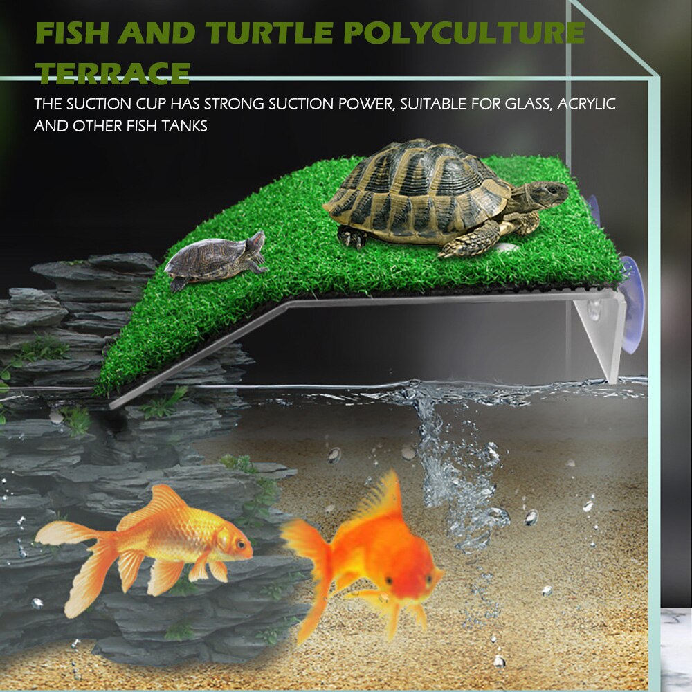 Tortue se prélasser plate-forme Aquarium décor acrylique tortue île Aquariums mousse escalade île pour tortues Reptile réservoir décoration