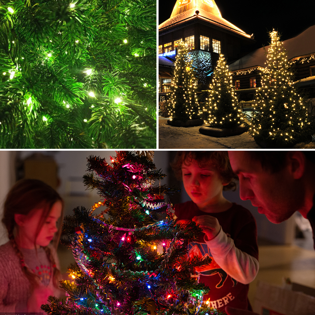 10M-100M Super Bright 24V LED String Lights Green Wire Leather Fairy Lights Outdoor Waterproof Garland Garden Christmas Decor