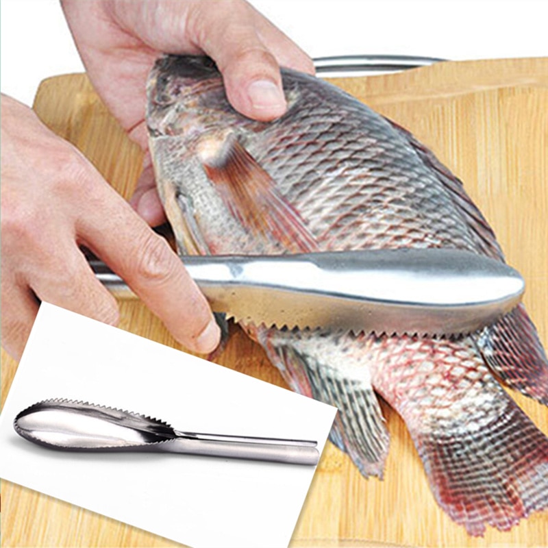 Détartreur de brosse, Gadget de cuisine, dissolvant la peau de poisson en acier inoxydable, détartrant les écailles de poisson, fruits de mer