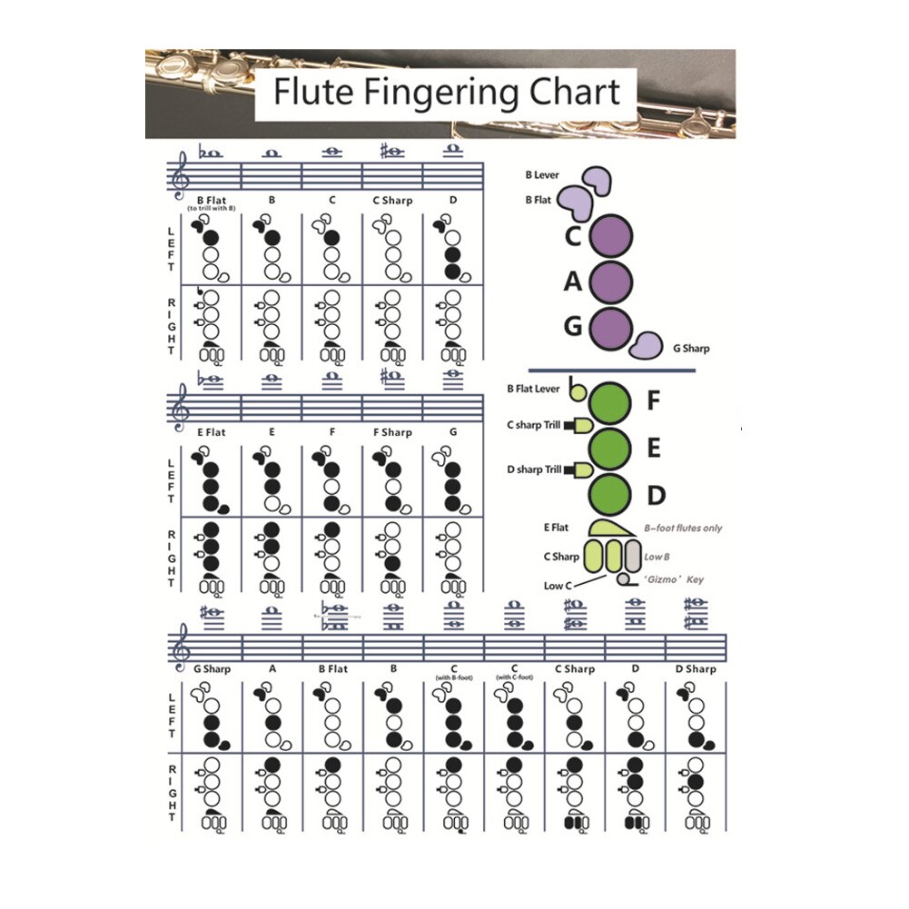 Durable Parts Portable Chord Chart For Flute Smooth Key Tones Standard Notes Easy Understand Beginner Student Fingering Practice