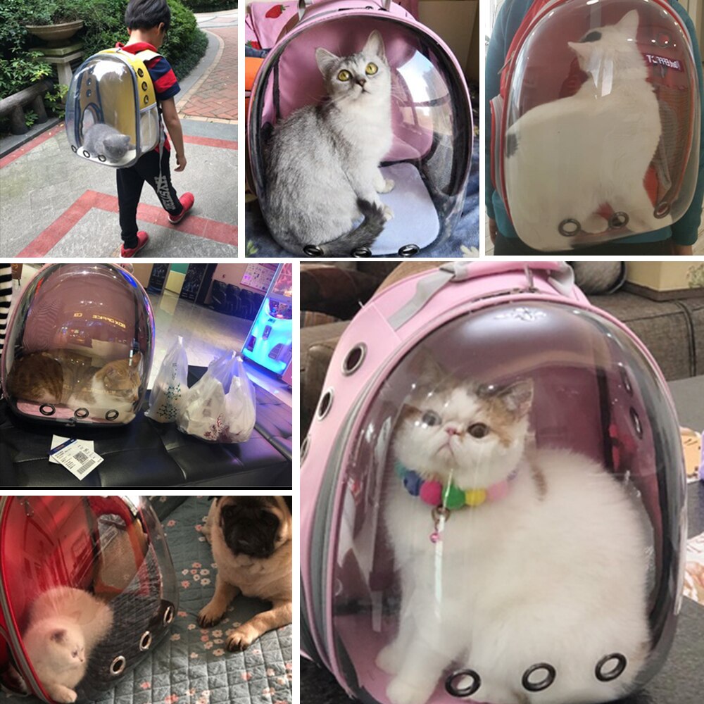 Cat Carrier Bag Breathable Transparent Puppy Cat Backpack Cats Box Cage Small Dog Pet Travel Carrier Handbag Space Capsule