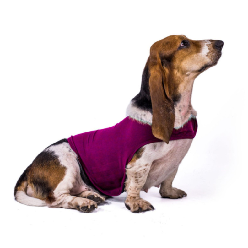 Baumwolle Angst Linderung Hund Jacke wickeln Brust Beruhigende Weste betonen Freies Donner Weste für Chirurgie Erholung Haustier Hemden Accessori: rot / XL