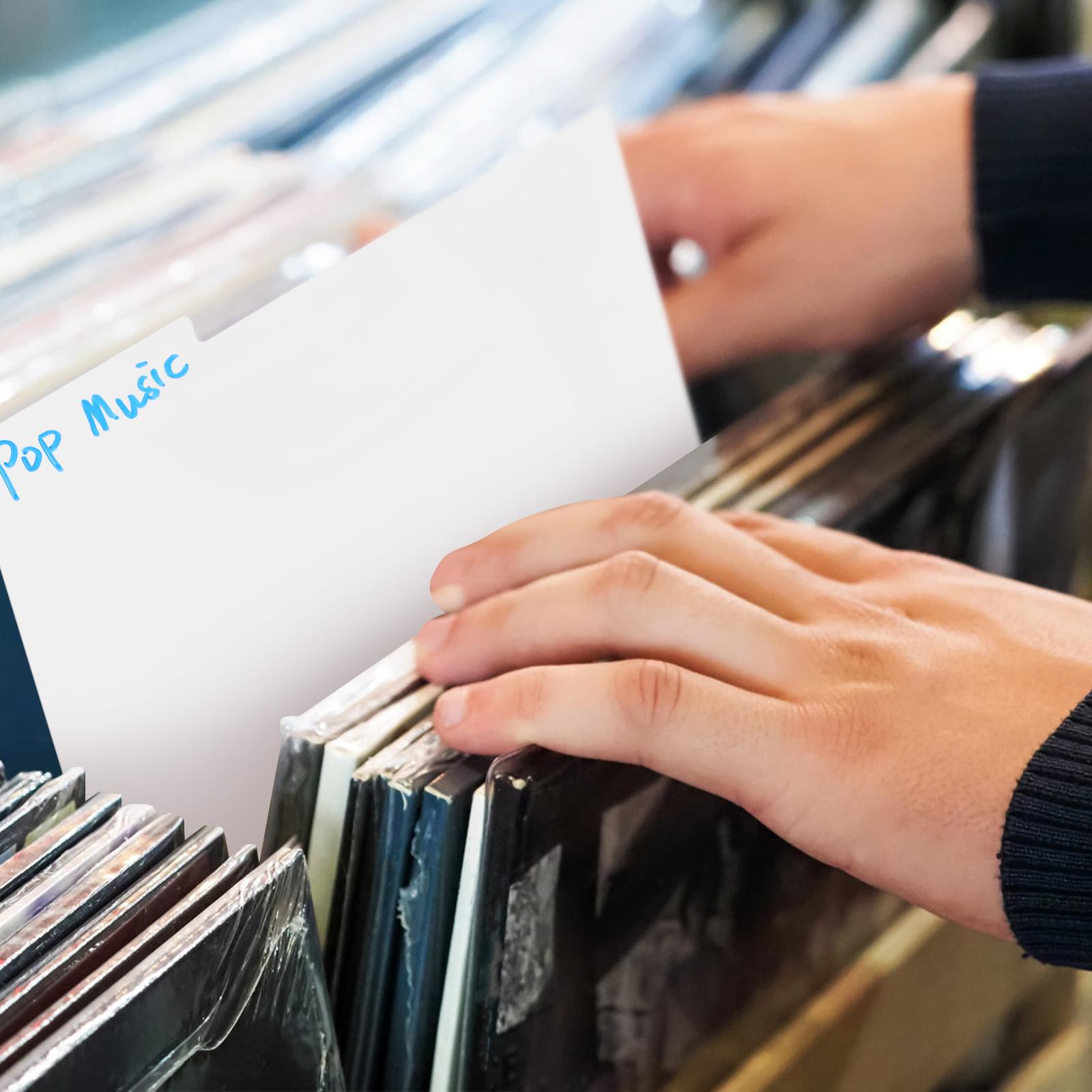 10-teilige Schallplattenteiler aus Vinyl, Bücherregal-Trenner, weiß, robust, runde Ecken aus PP, einfache Wartung, tabuliert