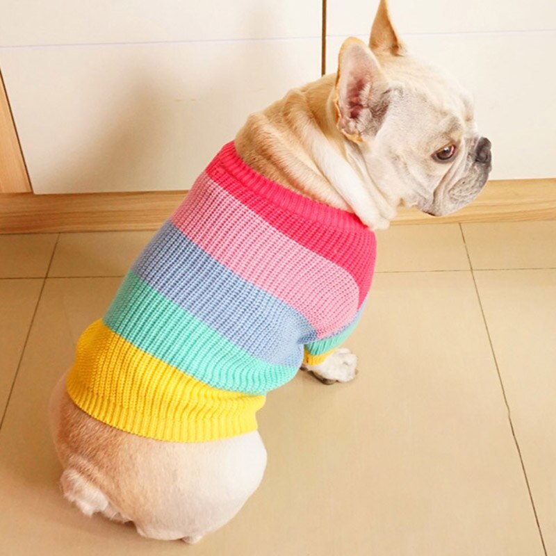 Varmt hundetøj vinter regnbue kæledyr hund sweater fede hunde frakke fransk bulldog kæledyr tøj til små mellemstore hunde hvalpe kostume mops
