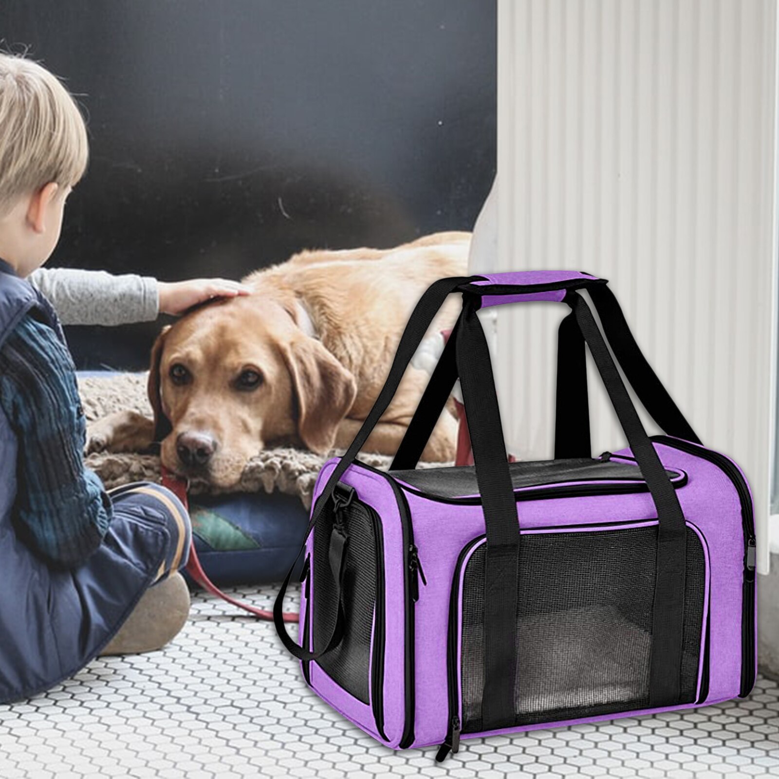 ALLSOPETS Honden- en katten, opvouwbare draagbare kooi voor honden en