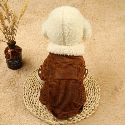 Beveiliging Kattenkleding Huisdier Kattenjassen Jas Hoodies Voor Katten Outfit Warme Huisdier Kleding Konijn Dieren Huisdier Kostuum Voor Kleine Honden | NL