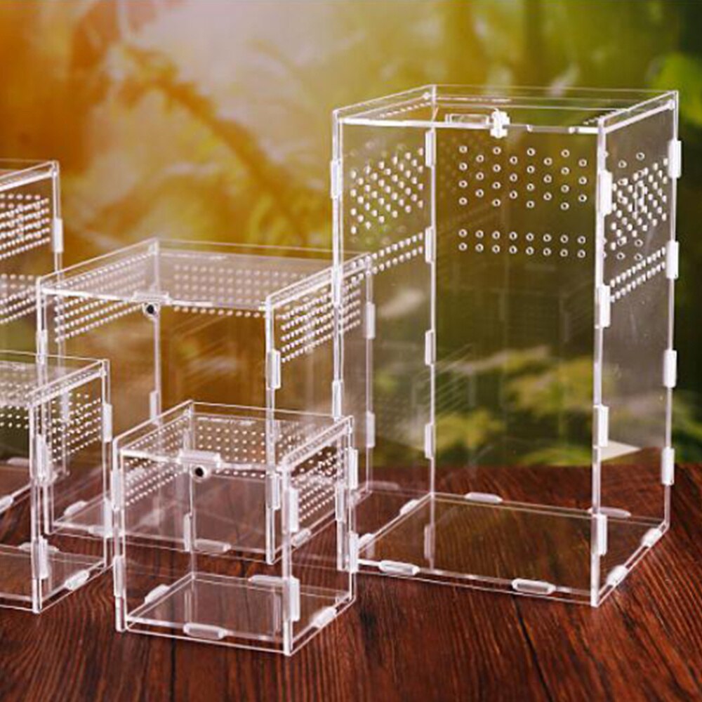 1Pc Reptile Supplies Insect Nest Insect Feeding Box for Animal Insect Creeper