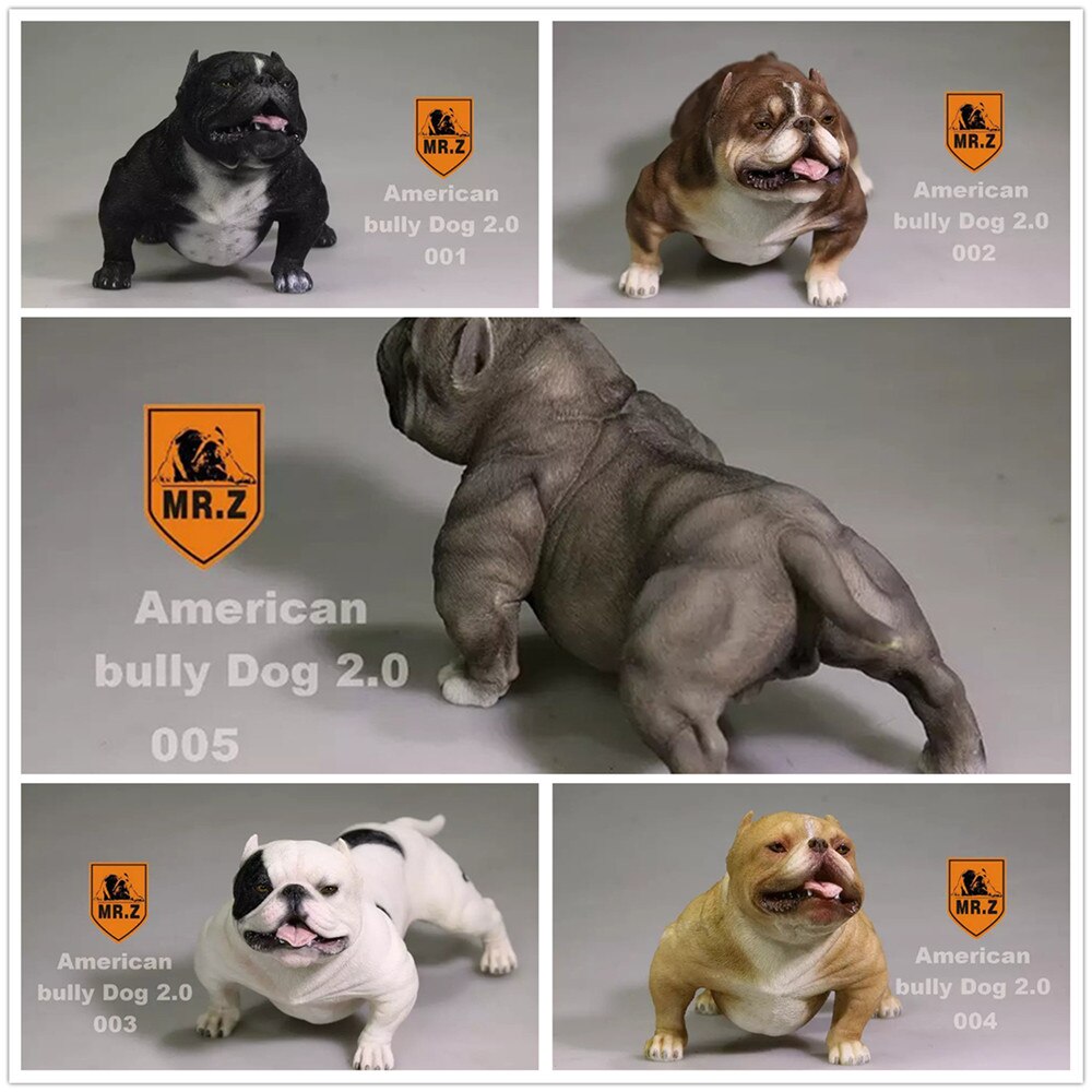 Mr.Z Studio 1:6 American Bully Pitbull Dog Pet Figure Animal Toy Collector Xmas Play Decoration Ornaments Hand To Do