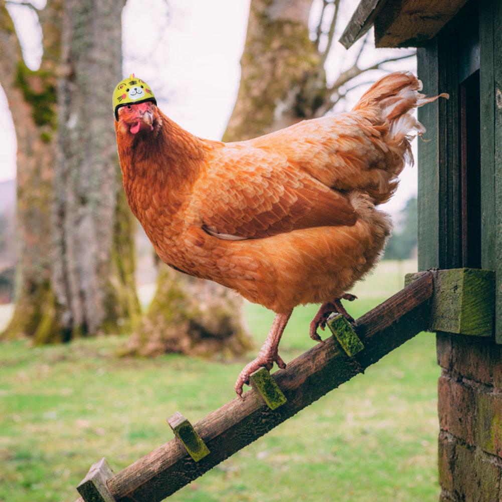 Casco para mascotas divertido casco de pollo protección de cabeza compacto gallina dura sombrero