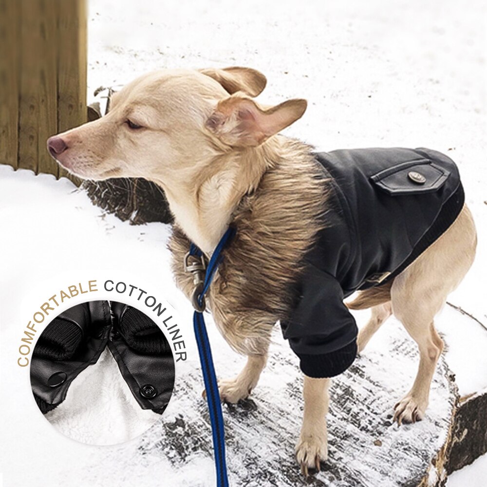 Hond Kleren Hond Lederen Winter Jassen Warm Puppy Jassen Kleding Hoodies Voor Kleine Middelgrote Honden Puppy Outfit S-2XL