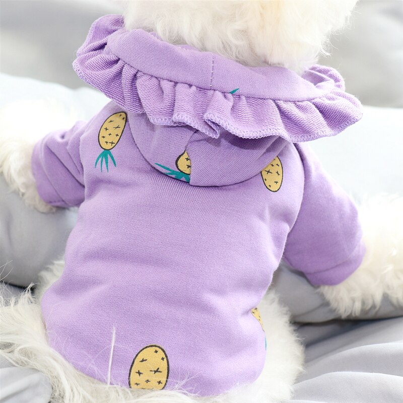 Syksy lemmikkipusero nalle bichon vip pomeraniansnautseri kissa yorkshirenterrieri pentu maito pentu koiran vaatteet