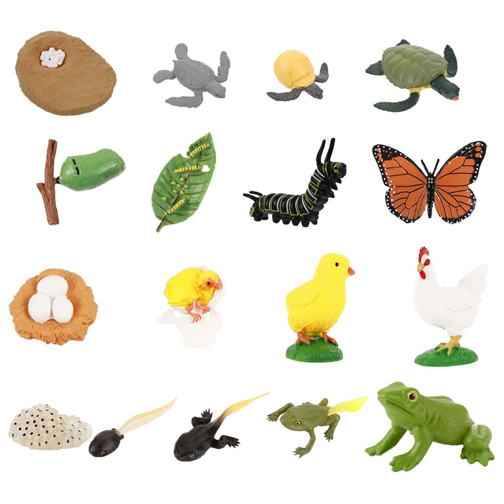 4 Sets Vivid Mooie Plastic Funny Animal Groei Cyclus Model Dieren Levenscyclus Model
