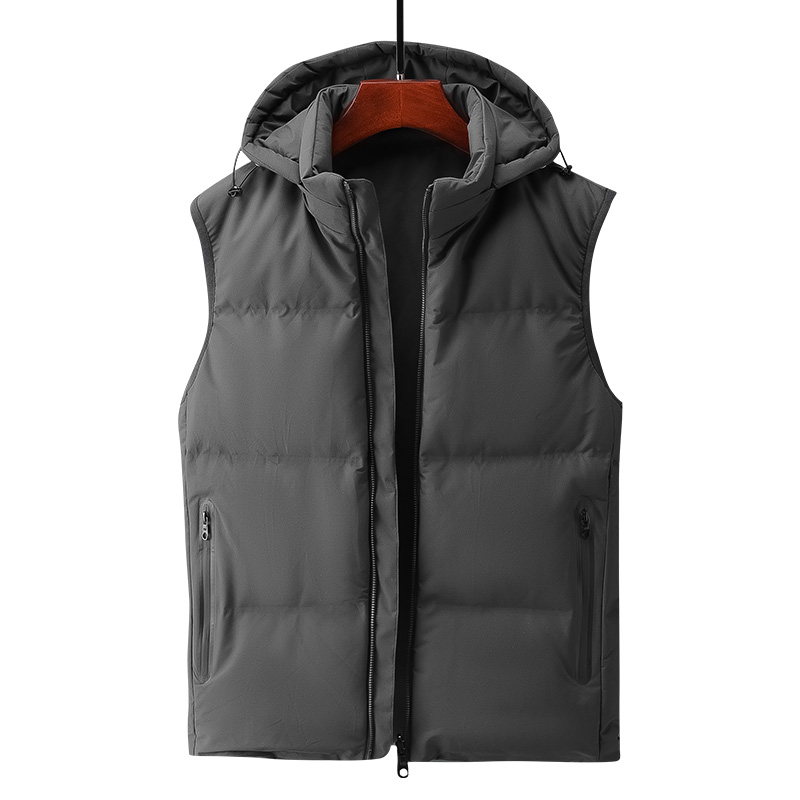 Gilet d'automne et d'hiver à capuche pour jeune homme, beau, coréen, , Double face, pour étudiant