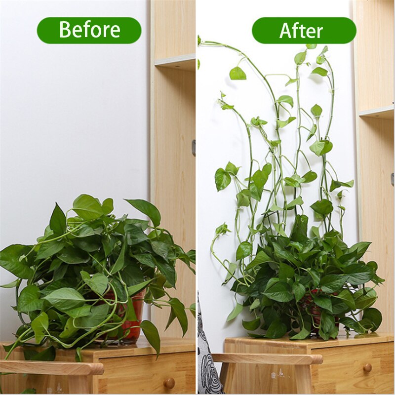 Plante klatrevægclips vinranke spænde krog rattan klemme fiksator selvklæbende plante stent usynlig vin klatre fast beslag
