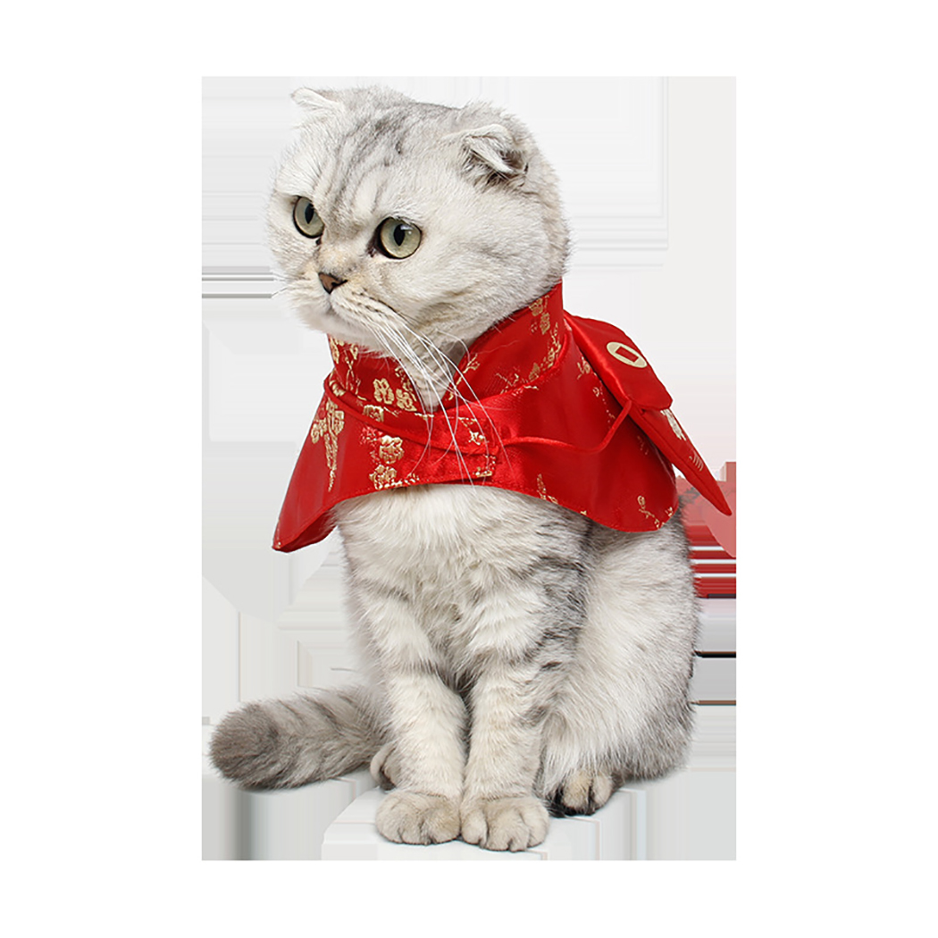 Huisdier Kat Tang Pak Kleine Rode Envelop Feestelijke Mantel Huisdier Cape Chinese Stijl Feestelijke Hond Cape Pet Kostuum Voor kittens Katten