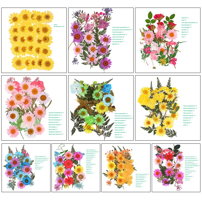 Pressed Flower Mixed Dried Flowers DIY Art Floral Decors Collection Craft DIY B99
