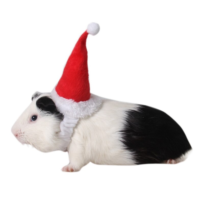 Små kæledyr julefestival dekorativt kostume hamster egern julemandshat med bånd