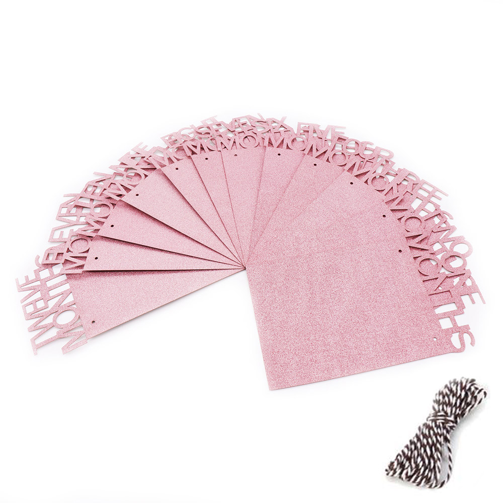 1-12 Month Baby Photo Frame Hanging Photo Banner Monthly Photo Wall Photo Frame for Baby Shower Birthday Party Home Decoration