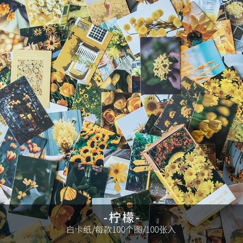 100 Stück Frühling Sommer Herbst Winter Kraftpapier Mini Grußkarte INS Blume Postkarte Brief Umschlag Dekoration LOMO Karten: Pink