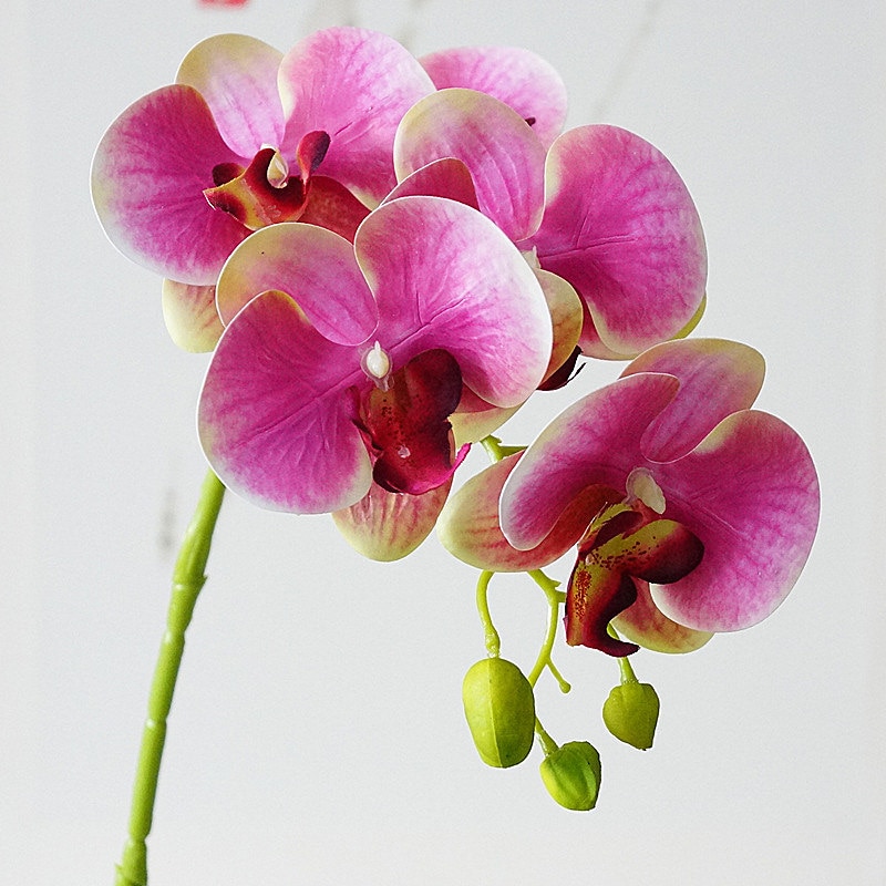 Kunstplant Orchidee/Phalaenopsis 3-tak wit voor binnengebruik