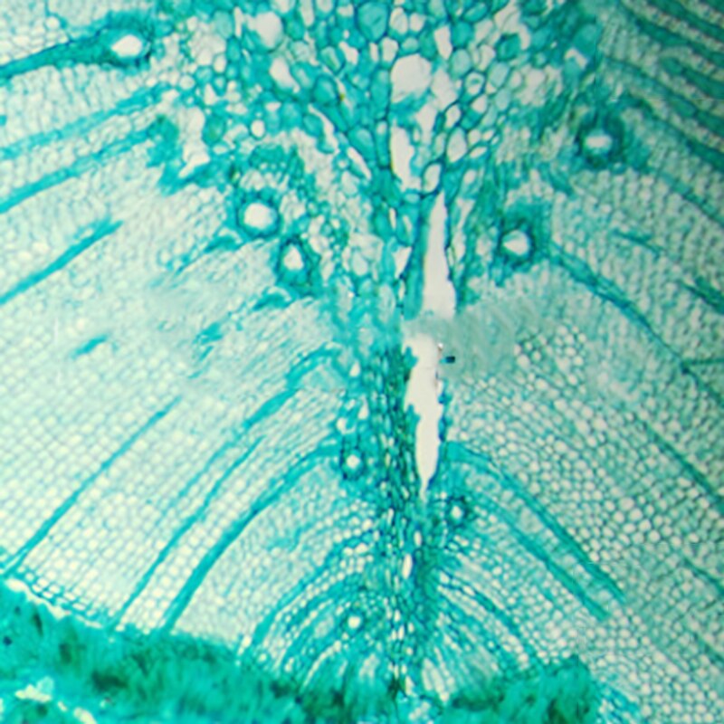 4X DIN-standard Plan Achromatic Microscope Objective Lens Biological Microscope Accessories Parts