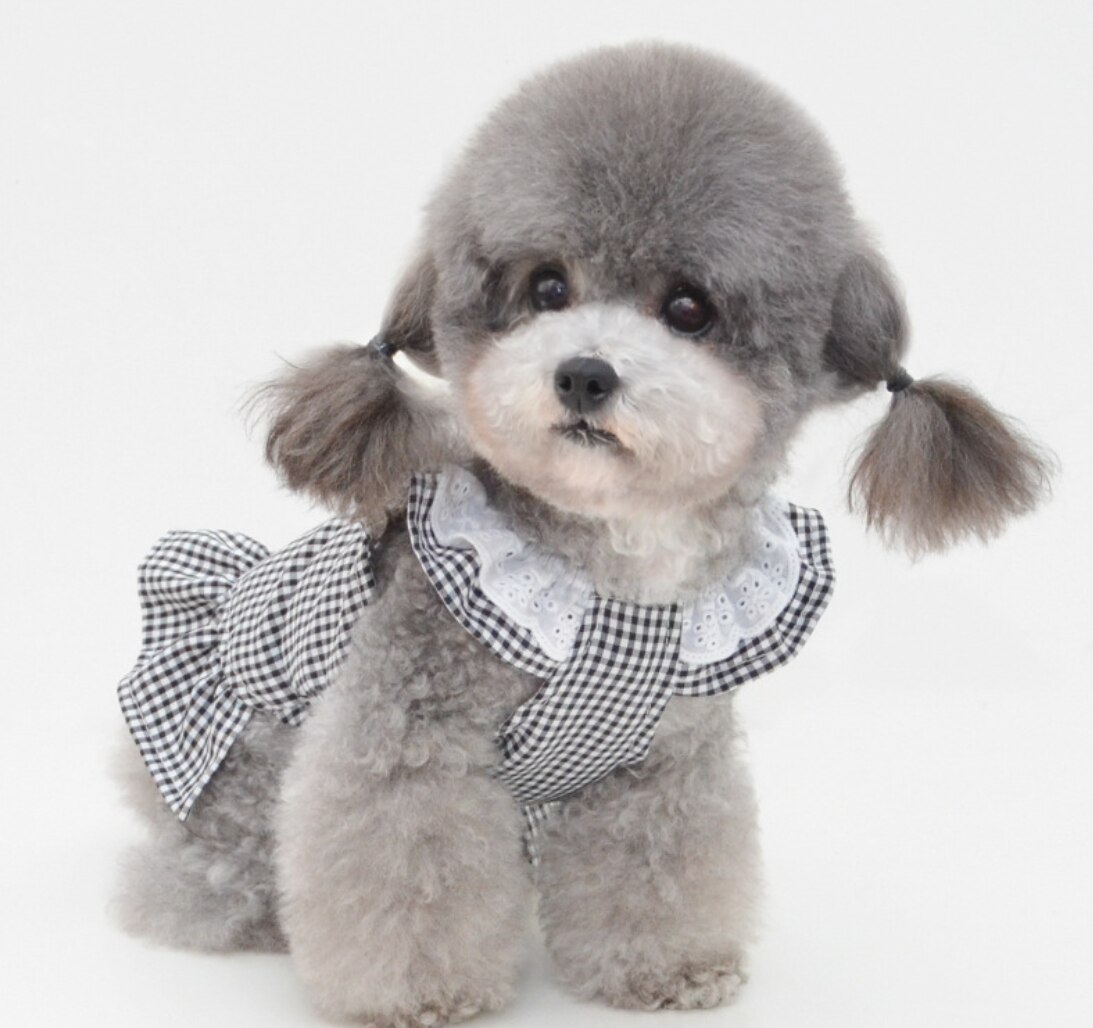 Summer Dog Dress Bowknot Princess Dress Clothes for Small Dogs Wedding Skirt Chihuahua Pug Pet Clothing