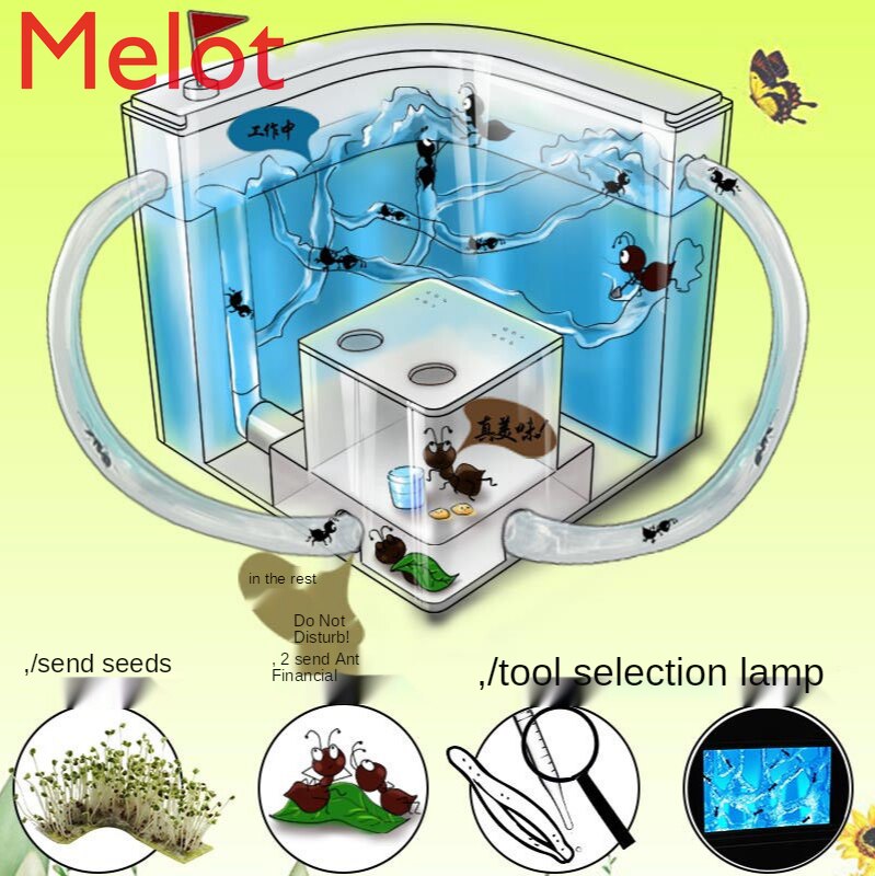 Jouet de luxe haut de gamme, atelier de fourmis, château, lit pour animaux de compagnie, maison, Villa, bureau, , nid de fourmis