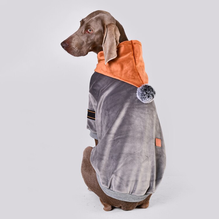 Pull en velours pour chien Golden Retriever, Labrador, bouledogue, vêtements pour grands chiens, accessoires pour chiens, automne et hiver
