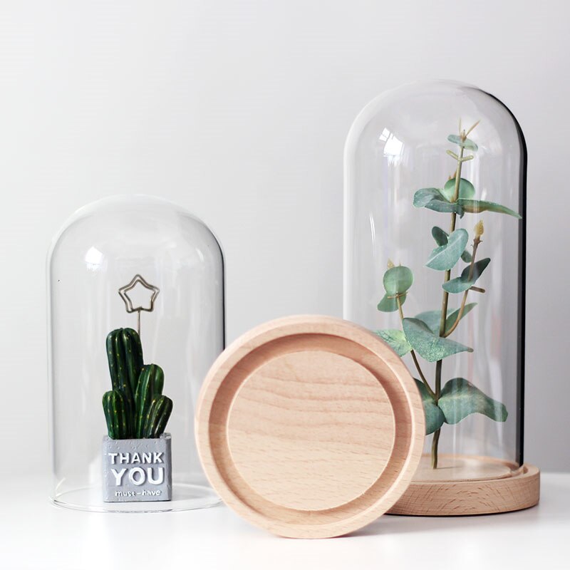 Glass Dome Cover for Flower Succulent Plants DIY Dustproof Covers Case Transparent Bottle Glass Vase Desktop Home Decor Supplies