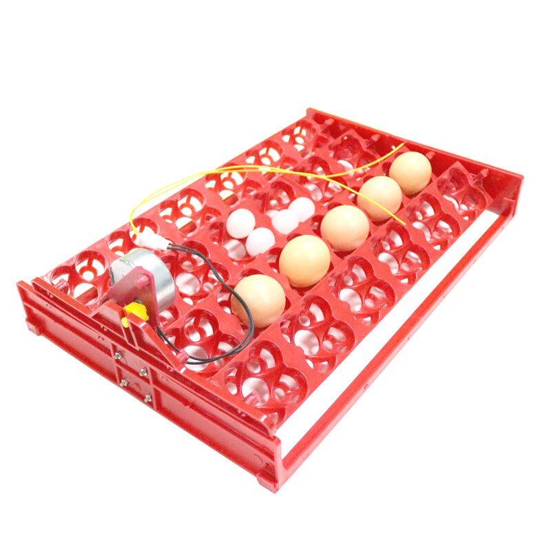 Incubadora para aves 96 huevos, bandeja automática de 24 huevos, herramienta de incubación de codornices de loros, tamaño 43*28 cm