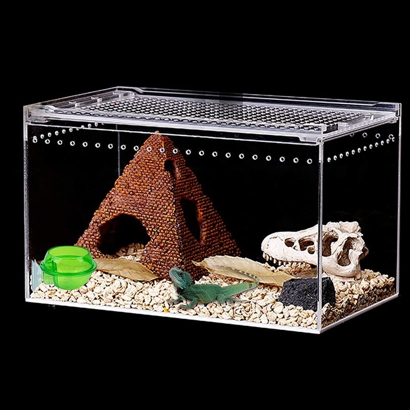 Reptile Feeder Chameleon Feeding Food Bowl Water Dish Suction Cup for Gecko Lizard Bearded Ledge Supplies Pets Accessories