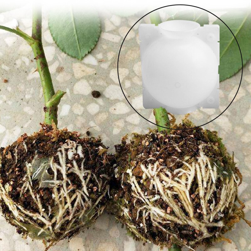 5pcs Plant Rooting Ball Grafting Rooting Growing Box Breeding Case For Garden Plant High-Pressure Propagation Box