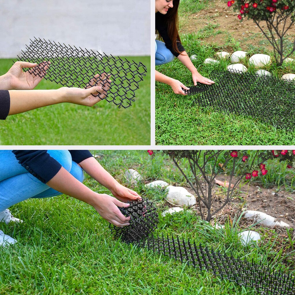 Jardin anti-pet filet piquant bande barrière filet de protection Isolation jardin éviter chat chien animal détruit végétal plante