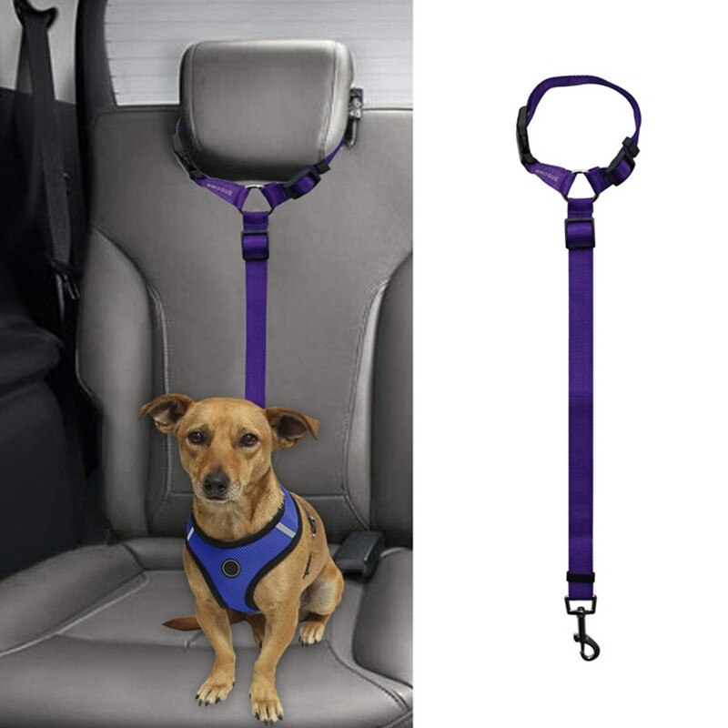 Verstelbare Autogordel Hond Nylon Leash Universele Kat Seat Riem Hond Keten Leiband Reizen Huisdier Accessoires Benodigdheden: purple