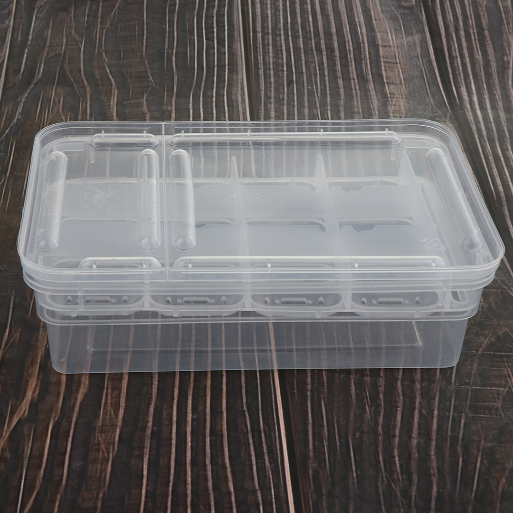 Reptile Incubator Egg Incubator Hatching Tray, Holds up To 24 Eggs, Portable Reptile Incubator for Small Reptiles