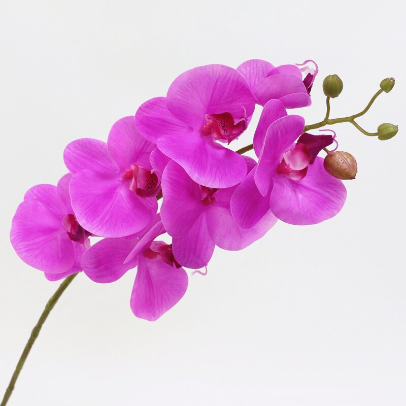 Kunstig orkide blomst 4 farger ekte berøringe kunstig sommerfugl orkidé flores kunstig bryllupsdekorasjon hjemmefestival dekor: Rosenrød