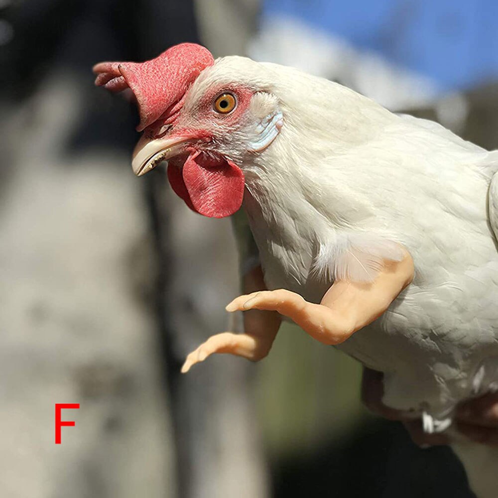 Juguete para manos de pollo, de broma, casco para gallinas, decoración divertida de aves, músculos, juguetes con brazos: F