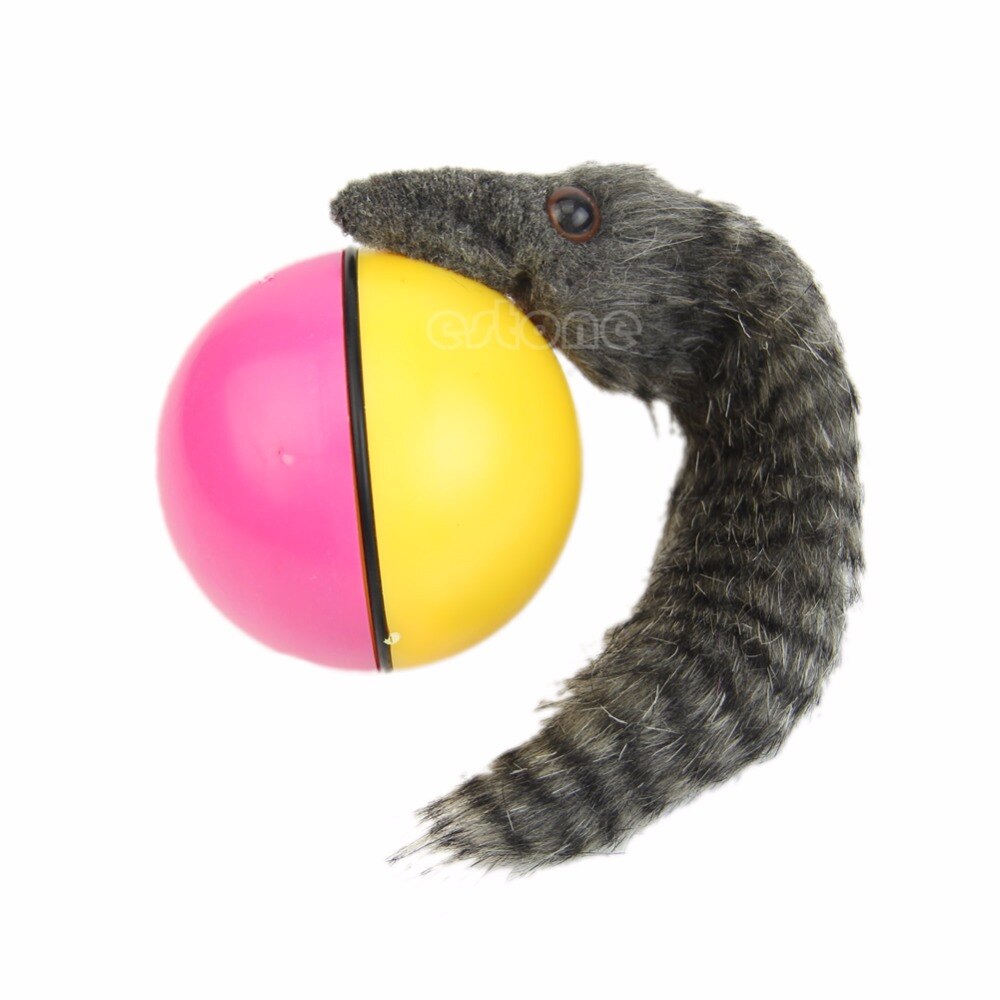 Belle boule de roulement motorisée par belette de chat de chien d'animal familier apparaît saut se déplaçant vivant jouet petits animaux jouets jouets mignons de boule d'animal familier