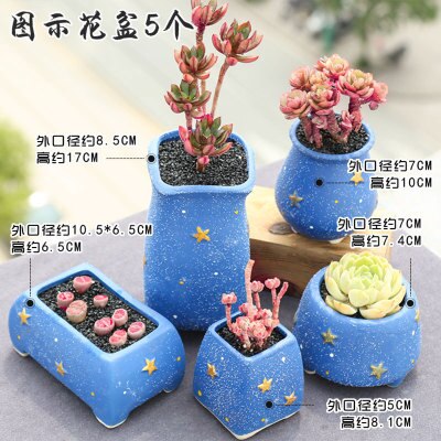 Succulent Bloempot Keramische Combinatie Set Kleine Verse Speciale Vlezige Plant Pot: B