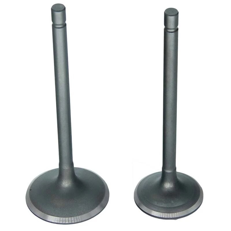 PIT Bike Intake Valve Exhaust Valves Fit For Zongshen Lifan Loncin CG250 ATV Go Kart Scooter &amp; Moped GT-175