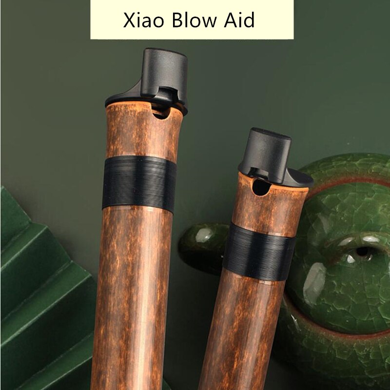 Kinesisk fløjte xiao med blæser mundstykke velegnet til begyndere lilla bambus vertikal dizi xiao send kvast