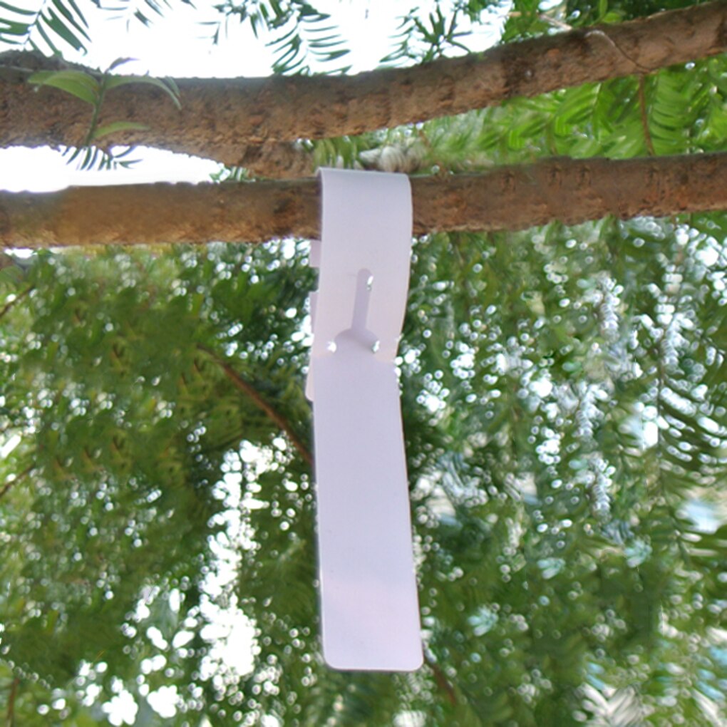 100 stücke Garten Kindergarten Pflanzen Etikett Hängen Obst Baum markieren Sämling Anlage Zeichen PVC Klassifizierung Karte