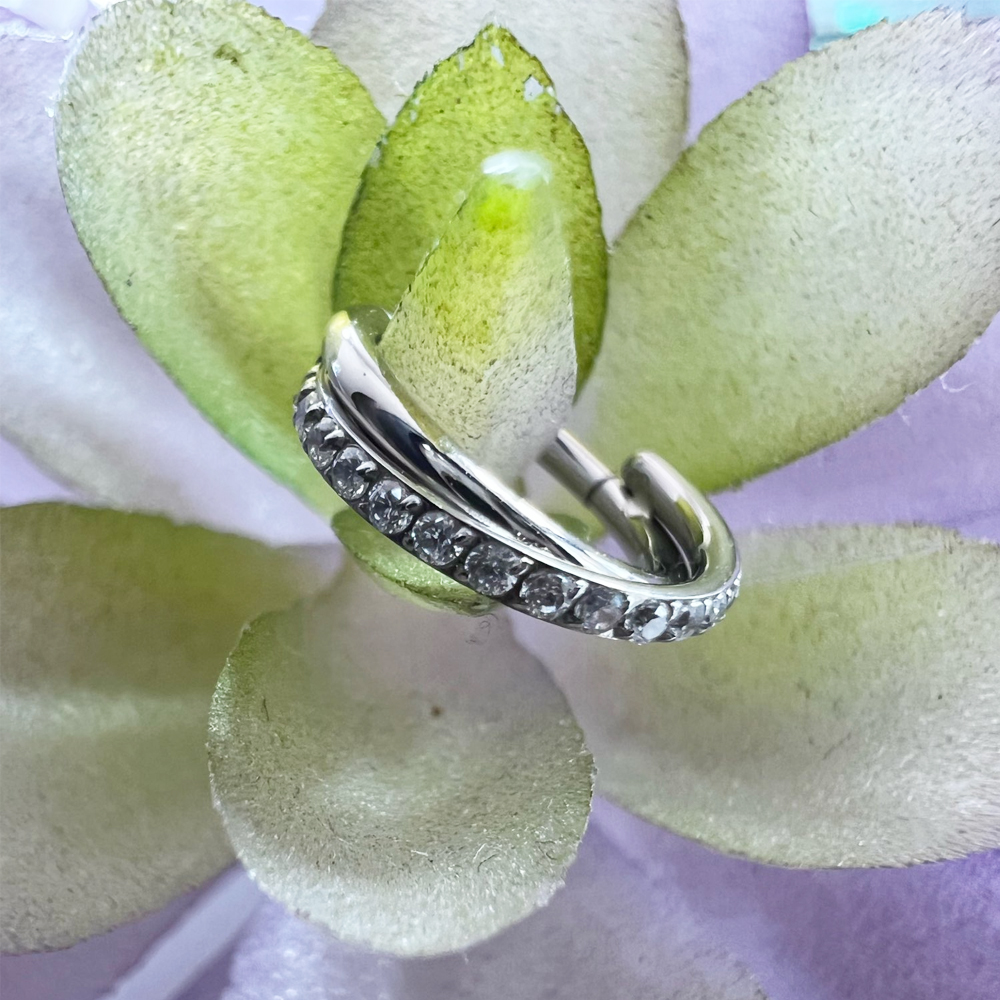 Astm F136 Titanium Neusring Piercing 16G Oorspiraal Hoepel Kraakbeen Oorbel Scharnier Diafragma Daith Clicker Ring Lichaam Sieraden