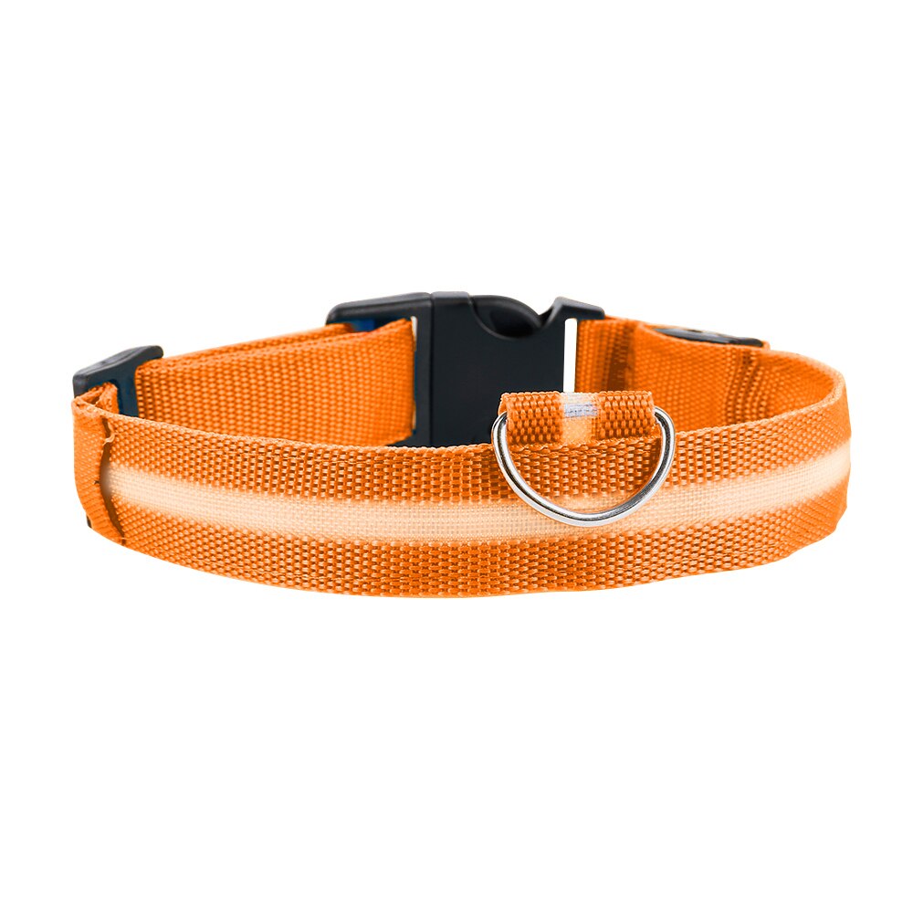 Led Anti-Verloren Huisdier Halsband Flashing Glow Glowing Lichtgevende Night Halsbanden Harnesses Riemen Huisdier Producten Kat Halsbanden: orange